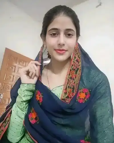 Call Girl Hitech City